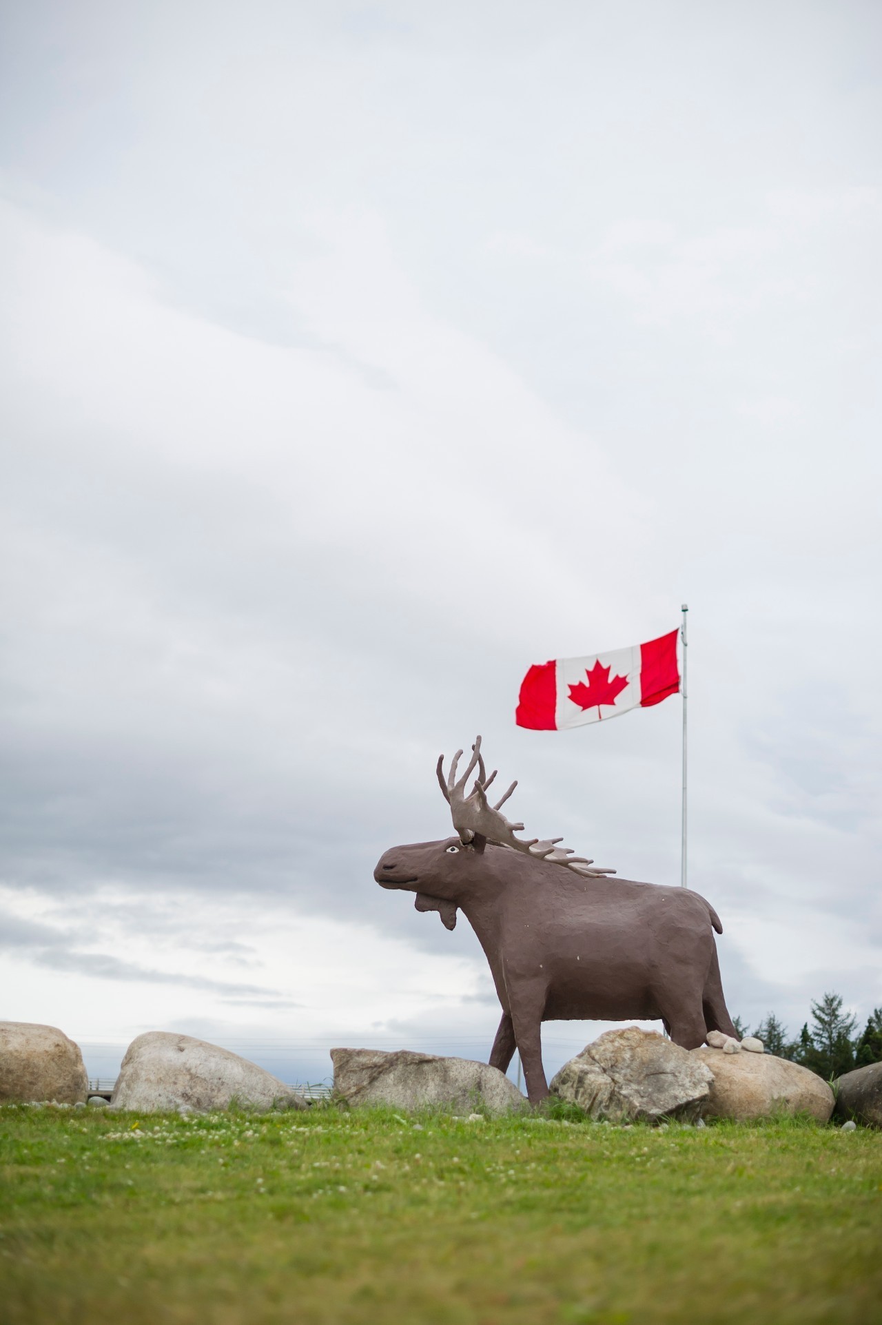 为什么这么多人要去加拿大,去加拿大最应该了解哪些事情