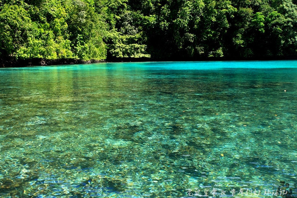 彩虹王国美术作品,彩虹王国紫色