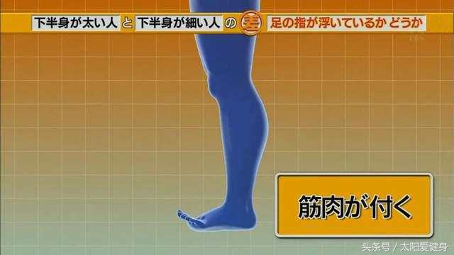 岛国象腿瘦身*法大**教学，如果健身长期没效果原因可能是这种