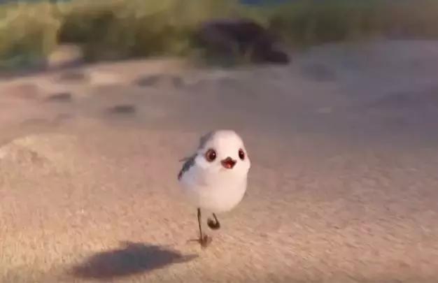 鸟是好鸟就是话多这幅图表达什么,鸟是好鸟是什么梗