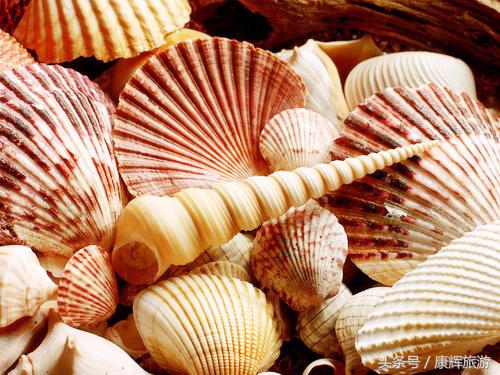 去三亚特产必买有哪些,三亚特产有哪些值得买的带回家