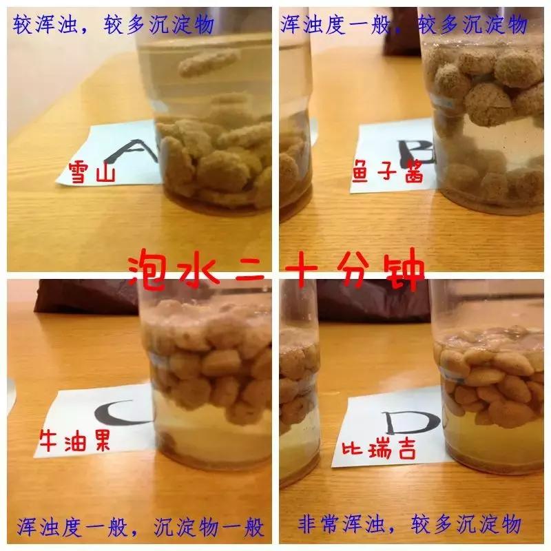 到底应该买什么狗粮,好的狗粮怎么买