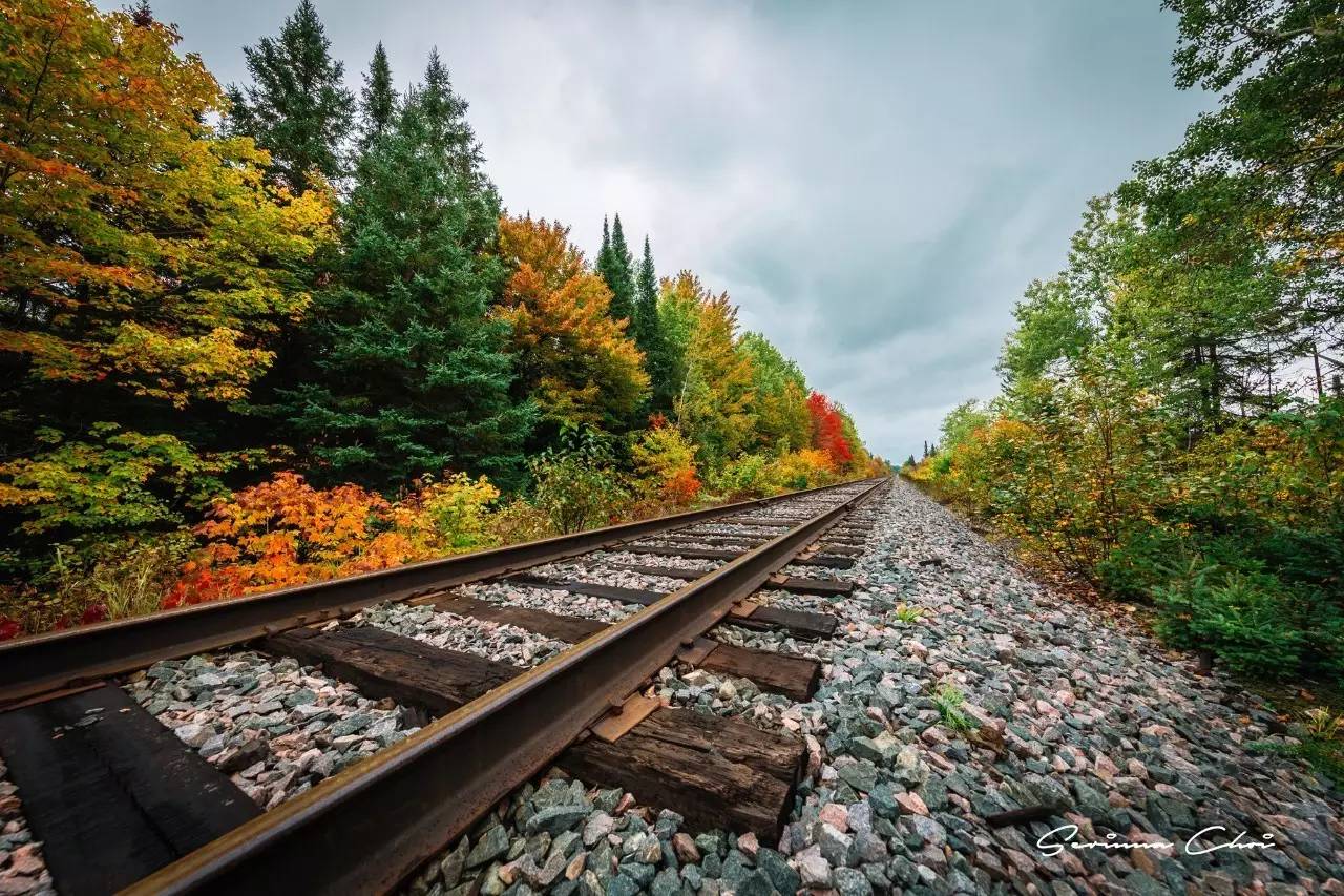 琛屾憚鍗冨北涓囨按鏁欑▼,琛屾憚鏀荤暐