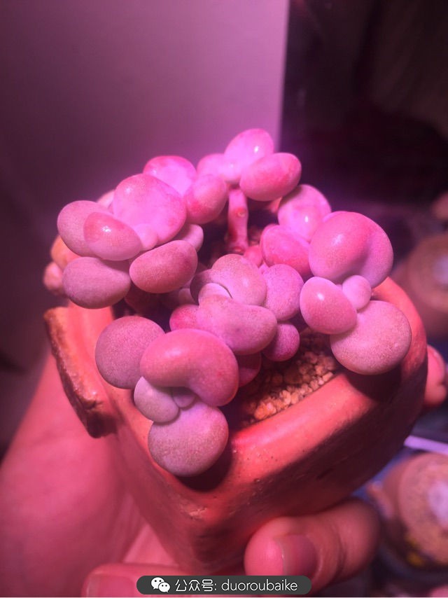 谈谈我的看法和感想,谈谈我对自己的看法