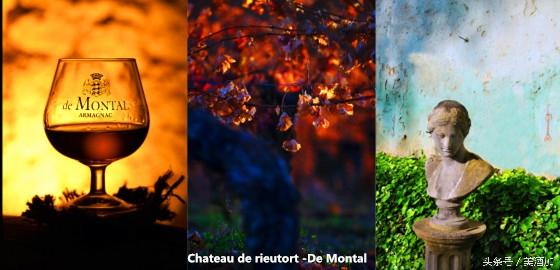 喝葡萄酒的技巧和方法,正确喝葡萄酒的技巧