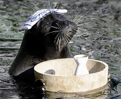 天气转冷的温泉,天气冷了泡温泉