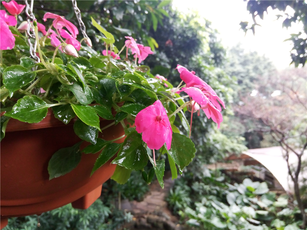 小米魅族手机续航,魅族长续航最值得入手的手机