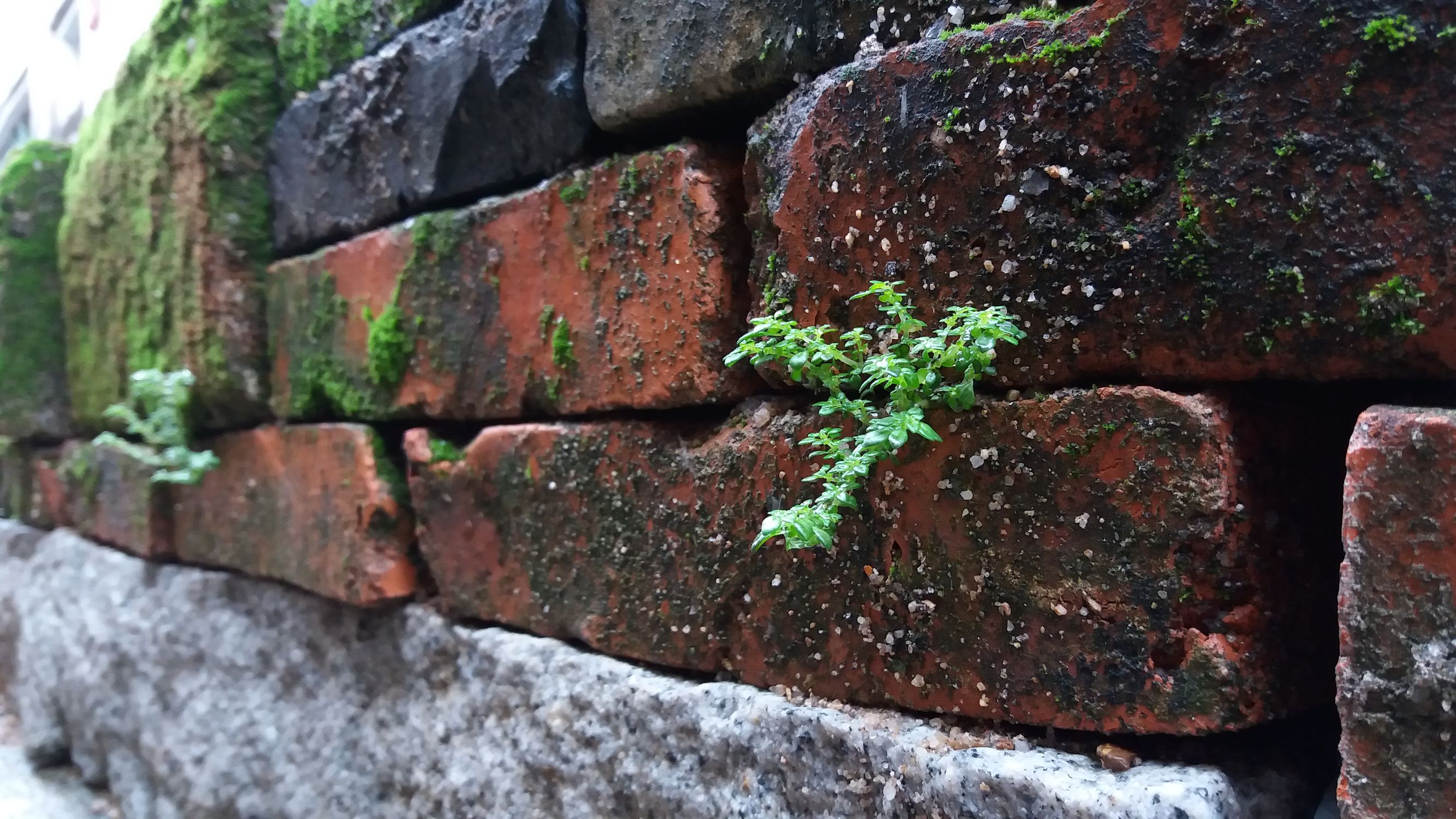 三星galaxya7最新消息,三星galaxya7还能用吗