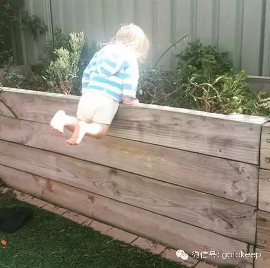 八块腹肌的小怪兽,腹肌小怪兽