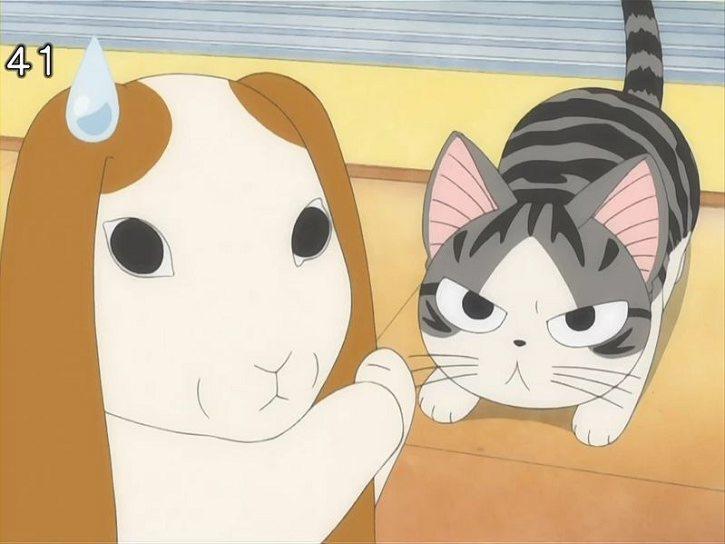 动漫卡通猫的名字,可爱动漫猫图片