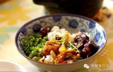 狗狗的十大食物,狗狗禁忌食物一览表