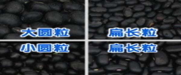黑豆绿心和黄心哪个比较好,绿心黑小豆和绿心大黑豆的区别