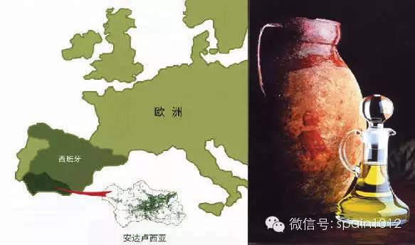 西班牙特级初榨橄榄油,西班牙橄榄油制作过程