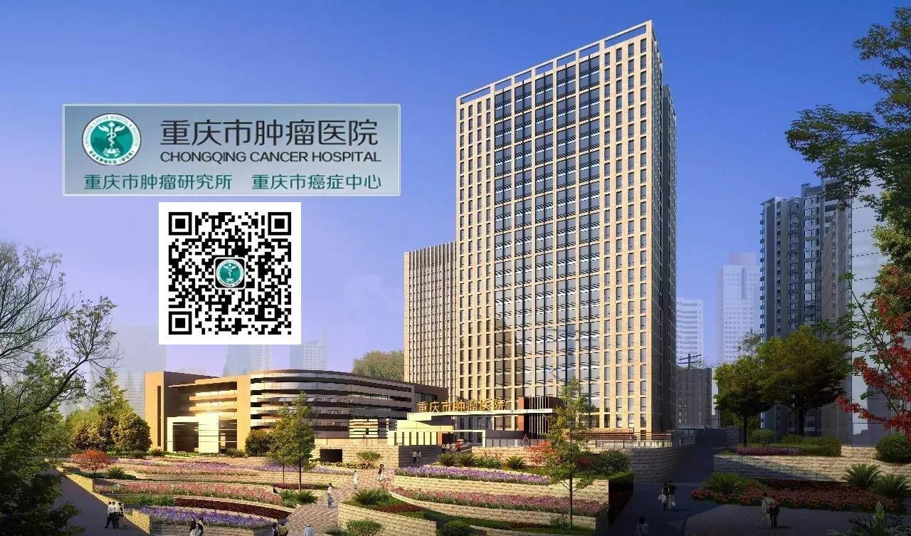 全国第十五届妇科肿瘤学术大会,妇科肿瘤大会