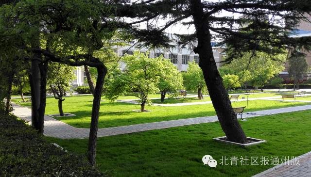 首师大附属中学通州校区,北京首师大附属中学通州校区场景
