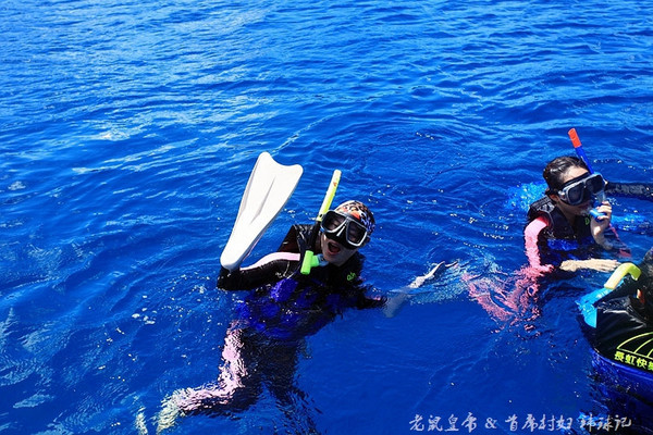 帕劳海底鲨鱼图片大全,帕劳海洋奇观之谜