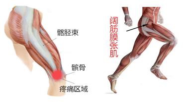长期运动造成膝盖疼痛怎么恢复,修复膝盖关节最好的运动
