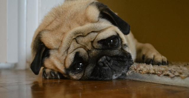 坚不可摧又坦诚相见,这枚帅锅全能达标