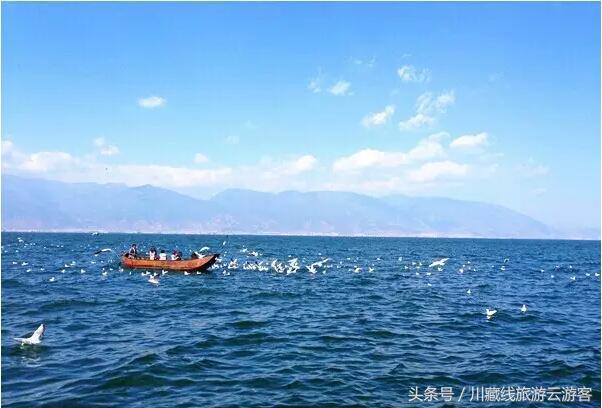 跟着心花路放去旅游,跟着心花路放游大理