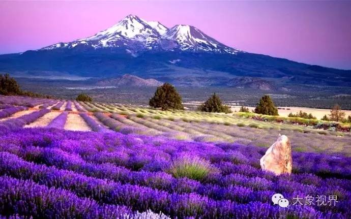 美艳洋模带您私家欧洲之旅!