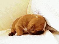 每周种草｜剁手剁成丧尸脸？是时候往购物车再放点面膜补补血