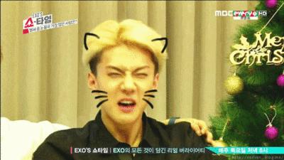 苏州美食团购网站大全,高性价比美食团购平台推荐