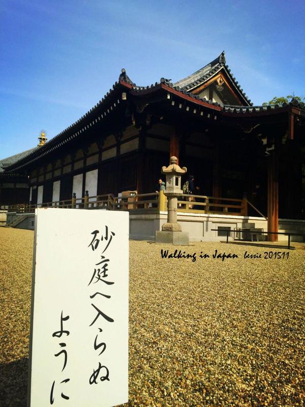 霓虹国秋日暴走之旅,漫步日本旅行游记