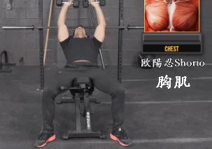 健身你只需练这9个动作就可以训练到全身肌肉尤其适合初学者