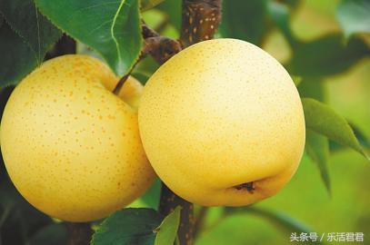 火都在上身怎么降火,火不归元上热下寒怎么办