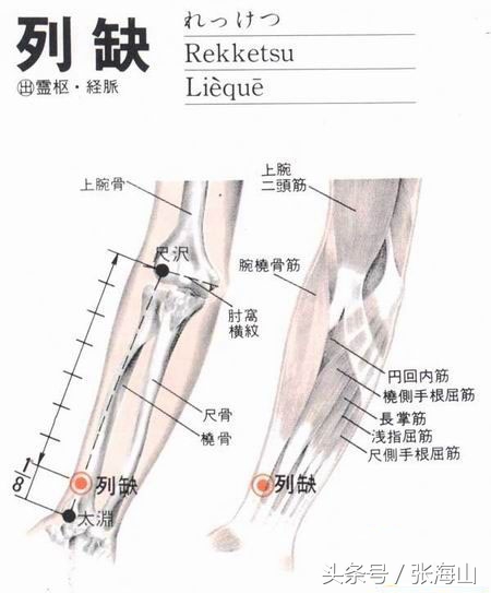 骨间肌疼怎么按摩,自我按摩缓解颈肩疼痛视频