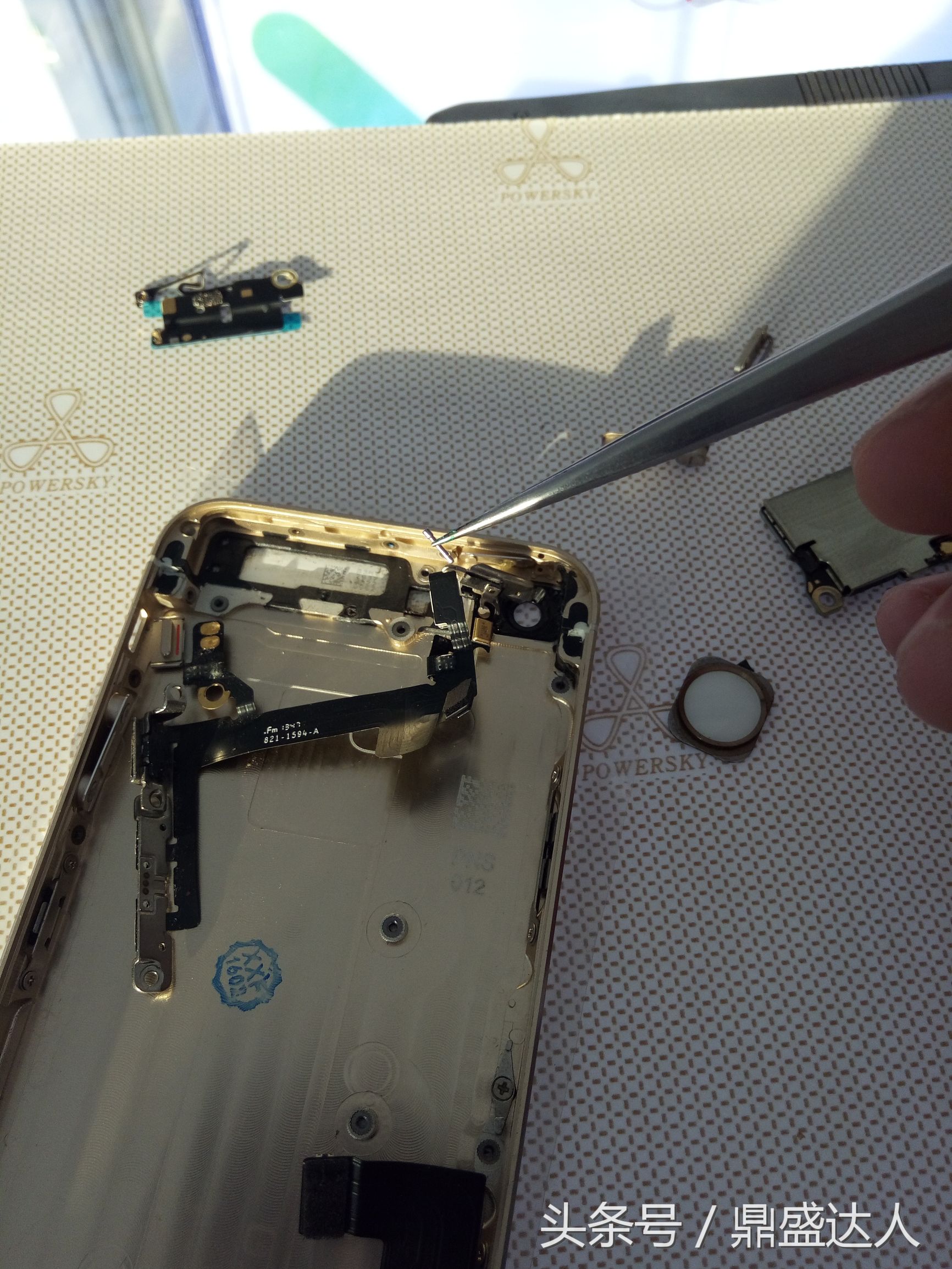 苹果5s拆机换扬声器,5s拆机换壳教程