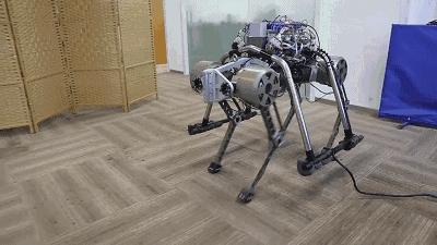 四足机器人大赛波士顿,四足机器人中国