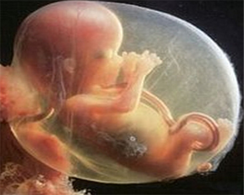 叶酸在怀孕什么时候吃最好,叶酸在怀孕什么时间补充最好