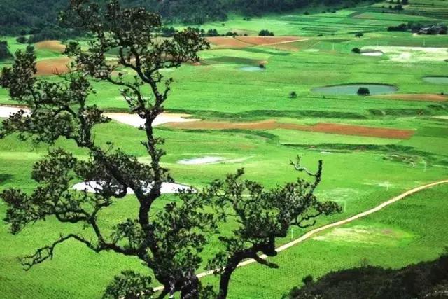 丽江至泸沽湖公路沿途风景,泸沽湖到丽江高速什么时候通车