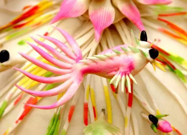 白水人,以前的白水和现在的白水