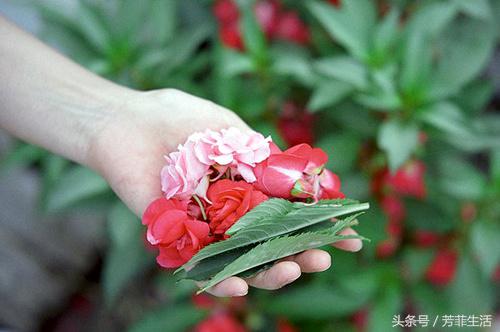 8090美甲店怀旧名称,8090年代的美甲