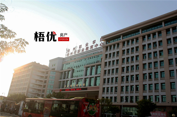 梧州市三龙大道规划图,梧州三龙大道未来发展