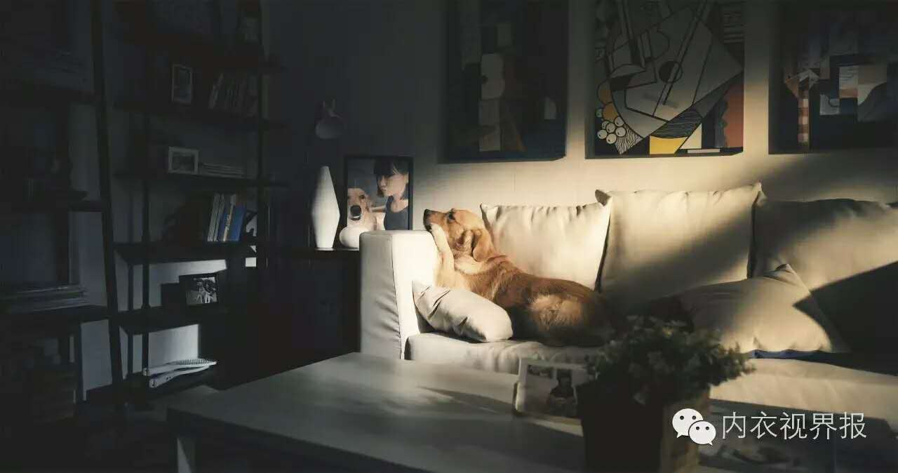 芬腾最新趋势,芬腾内衣最新产品