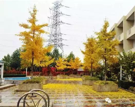 抓紧时间“约泡”才是大冬天最正经的事儿!