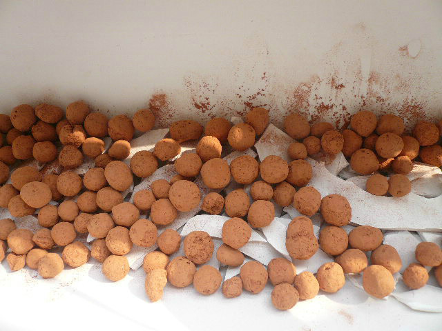 大叔用pvc管在阳台种菜7年,江苏人巧用pvc管阳台种菜