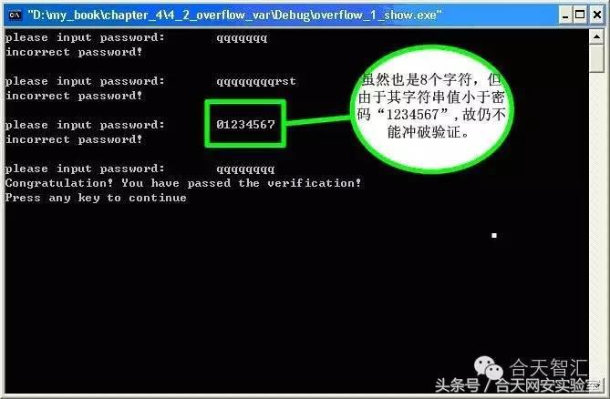 软件漏洞诊断,软件漏洞挖掘与分析