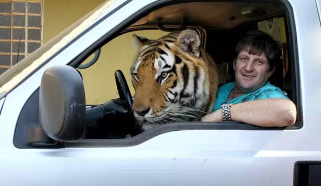 双11还上淘宝？阿联酋对中国免签！还不快去捡黄金