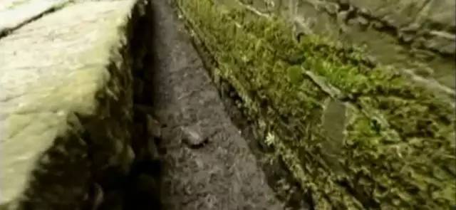 董仲舒修建水利工程,董仲舒发明了什么