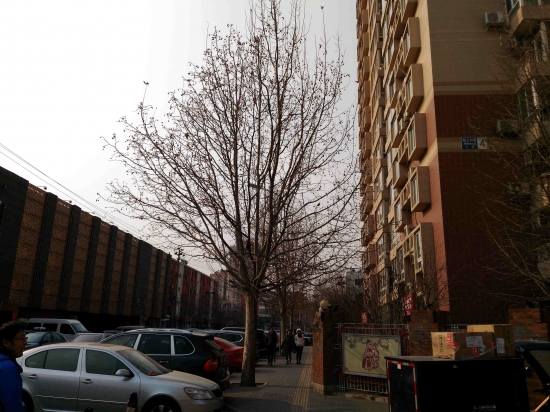 激光对焦大续航Zenfone电神5000评测