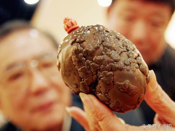 农村老汉在9岁老狗身上得到“狗黄金”，被人80万买走