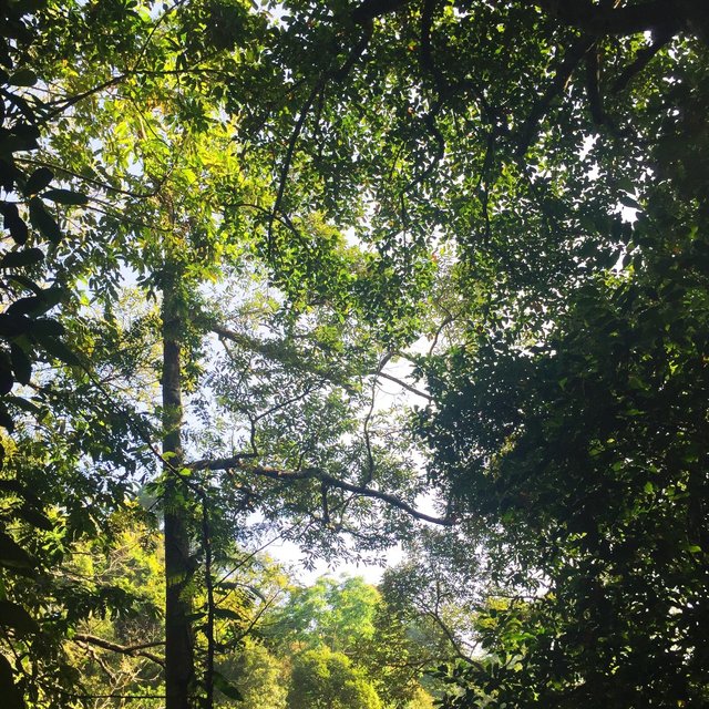 普吉岛美丽的阳光海水,普吉岛阳光沙滩大海