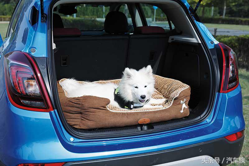 花儿与少年,花儿般的少女