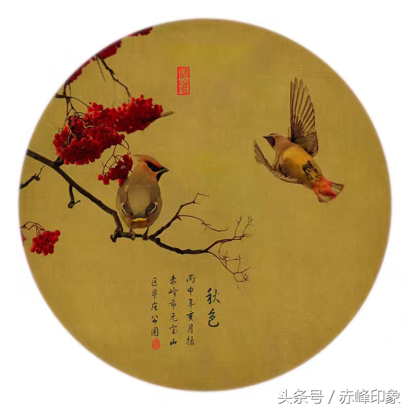 常闻摄影作品欣赏｜双鸟图