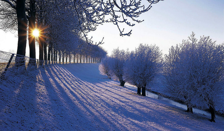 睡前按这几个养生穴能少生病,4个简单养生小动作日常就可以做