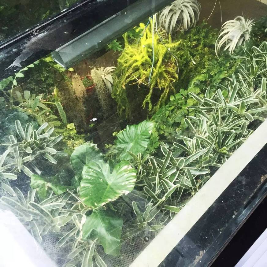 十万步走出的东京花店